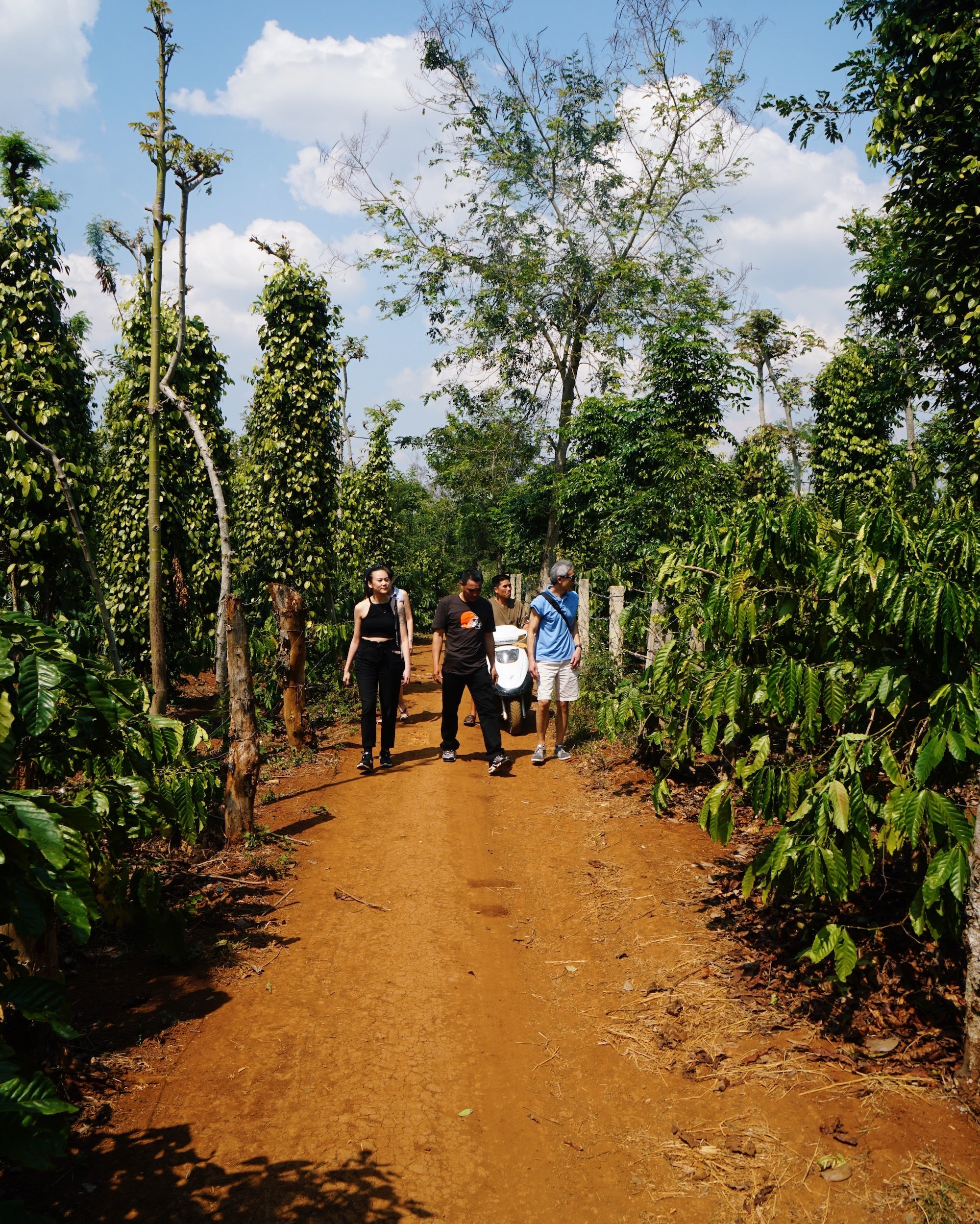 Coffee Production in Asia