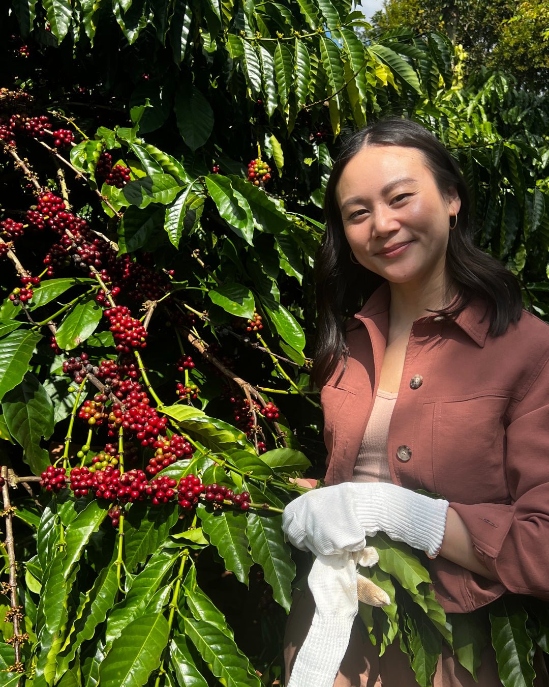 Nguyen Coffee Supply Sahra Nguyen Vietnam Robusta