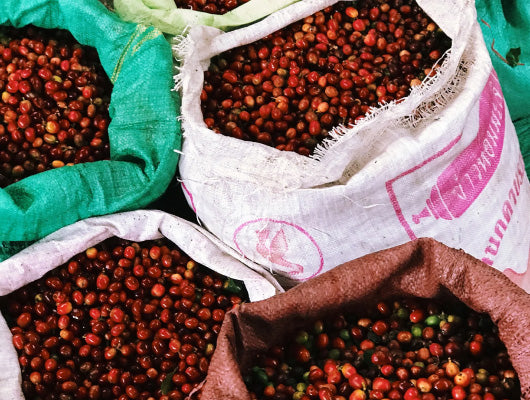 THE ULTIMATE GUIDE TO VIETNAMESE COFFEE