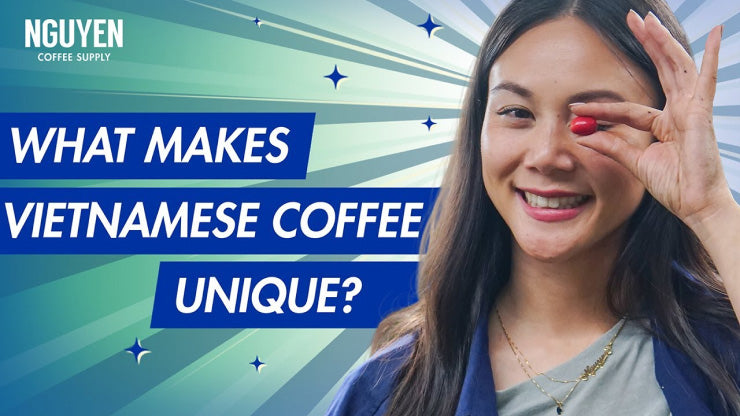 Vietnamese coffee is different, unique, and delicious. It's smooth, bold, and low-acidic! Plus: the key to Vietnam coffee's uniqueness lies in the robusta bean.
